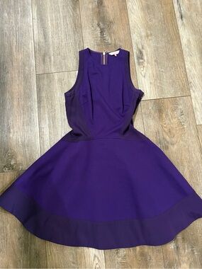 Ted Baker purple Jimena Skater Dress Size 1 /us size 4